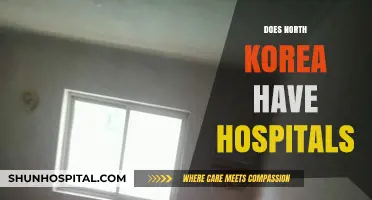 North Korea's Healthcare System: Unveiling the Reality of Hospitals