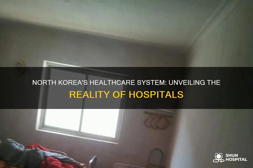 does north korea have hospitals