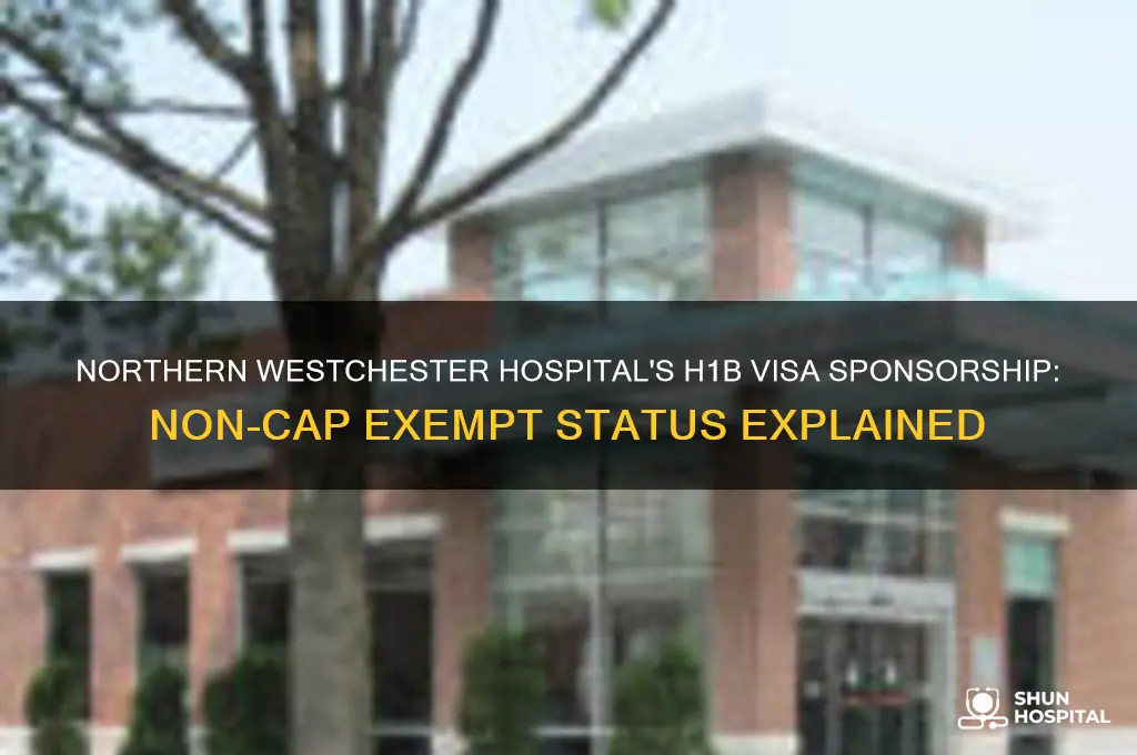 does northern westchester hospital do non cap h1b visa