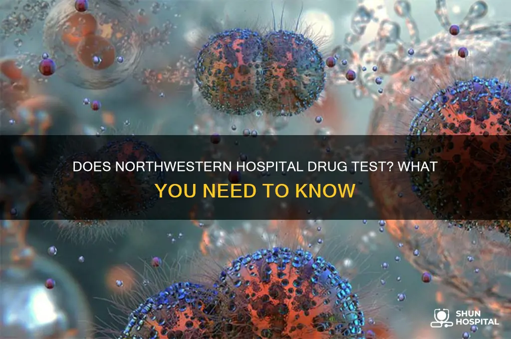 does northwestern hospital drug test