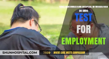 Northwestern Hospital Woodstock: Employment Drug Testing Requirements Explained
