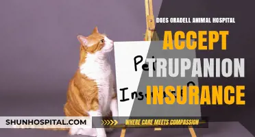 Trupanion Insurance: Is It Accepted at Oradell Animal Hospital?