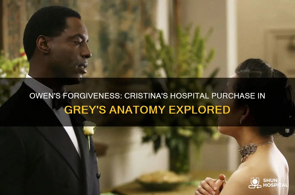 does owen forgive cristina for buying the hospital season