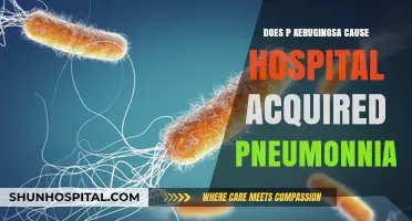 P. aeruginosa: A Common Cause of Hospital-Acquired Pneumonia?