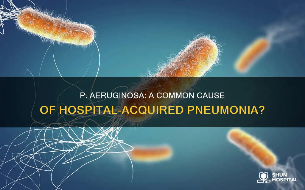 does p aeruginosa cause hospital acquired pneumonnia