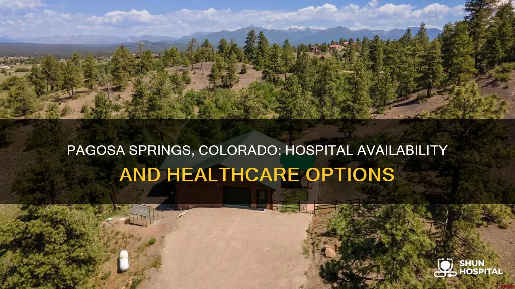 does pagosa springs colorado have a hospital