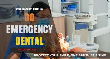 Palm Bay Hospital: Emergency Dental Services?