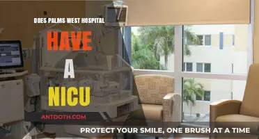 Palms West Hospital: Is There a NICU?