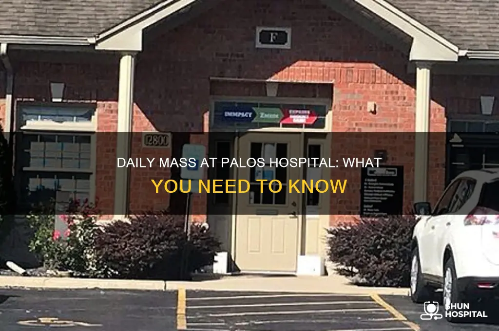 does palos hospital in palos heights illinois have daily mass