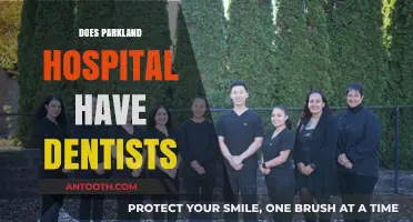 Does Parkland Hospital Offer Dental Services? Find Out Here