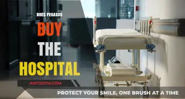 Pegasus Hospital Acquisition: Fact or Fiction? Unraveling the Rumors