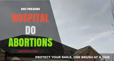 Pholosong Hospital Abortion Services: Availability, Procedures, and Patient Information