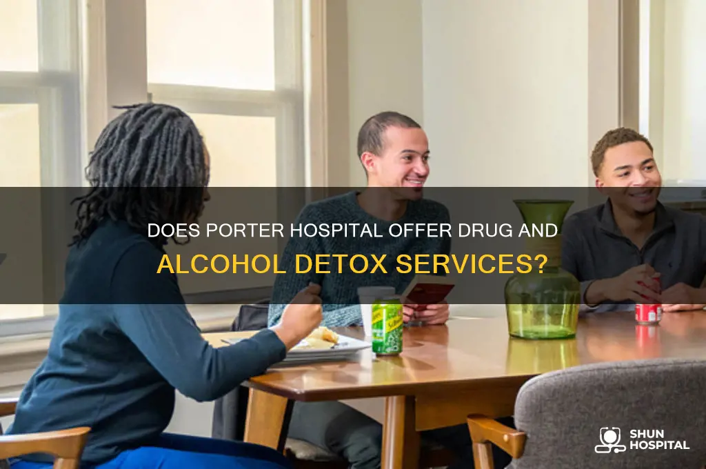does porter hospital have a drug and alcohol detox center