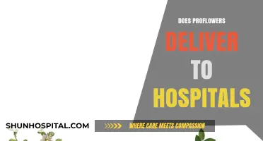 ProFlowers Hospital Delivery: What You Need to Know Before Ordering