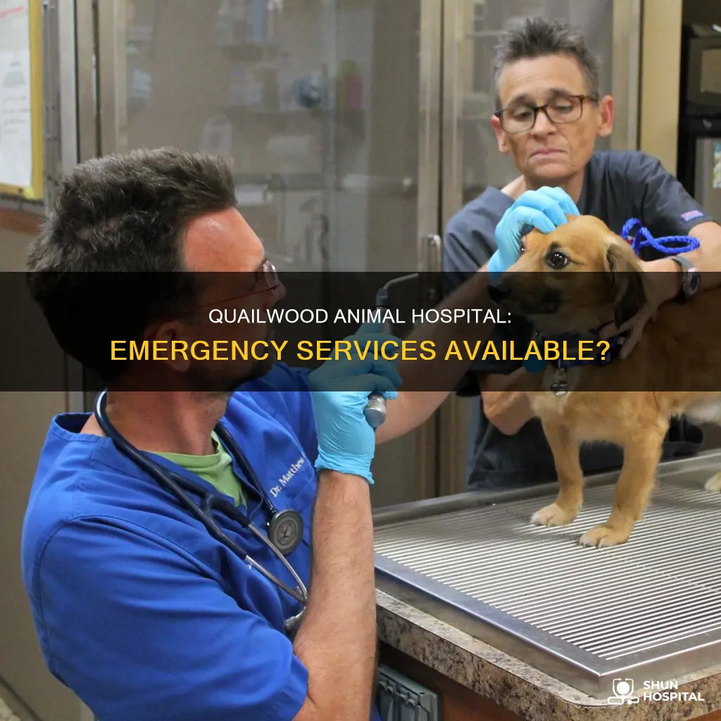 does quailwood animal hospital have emergency services