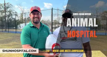 Does Quailwood Animal Hospital Offer Quality Pet Care Services?