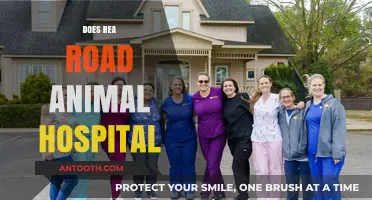 Rea Road Animal Hospital: Services, Reviews, and Pet Care Insights