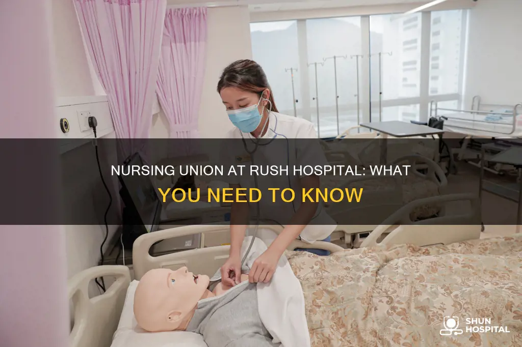 does rush hospital have a nursing union