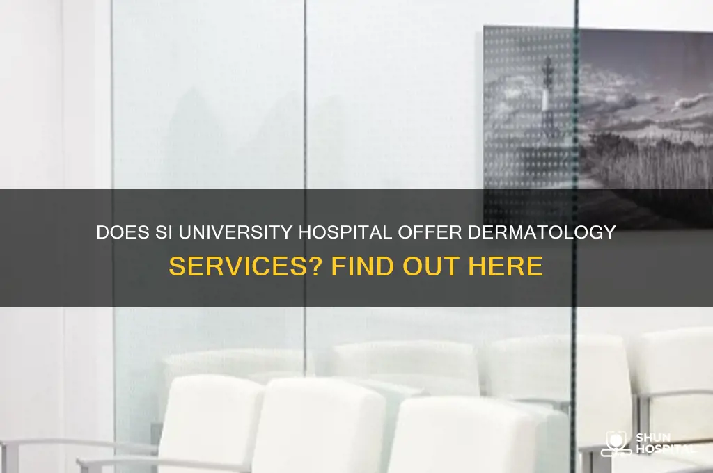 does s i university hospital have a dermertal center