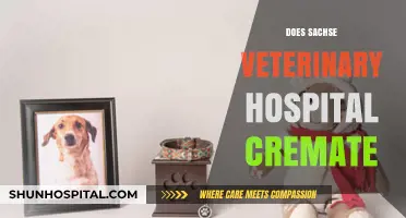 Does Sachse Veterinary Hospital Offer Cremation Services for Pets?