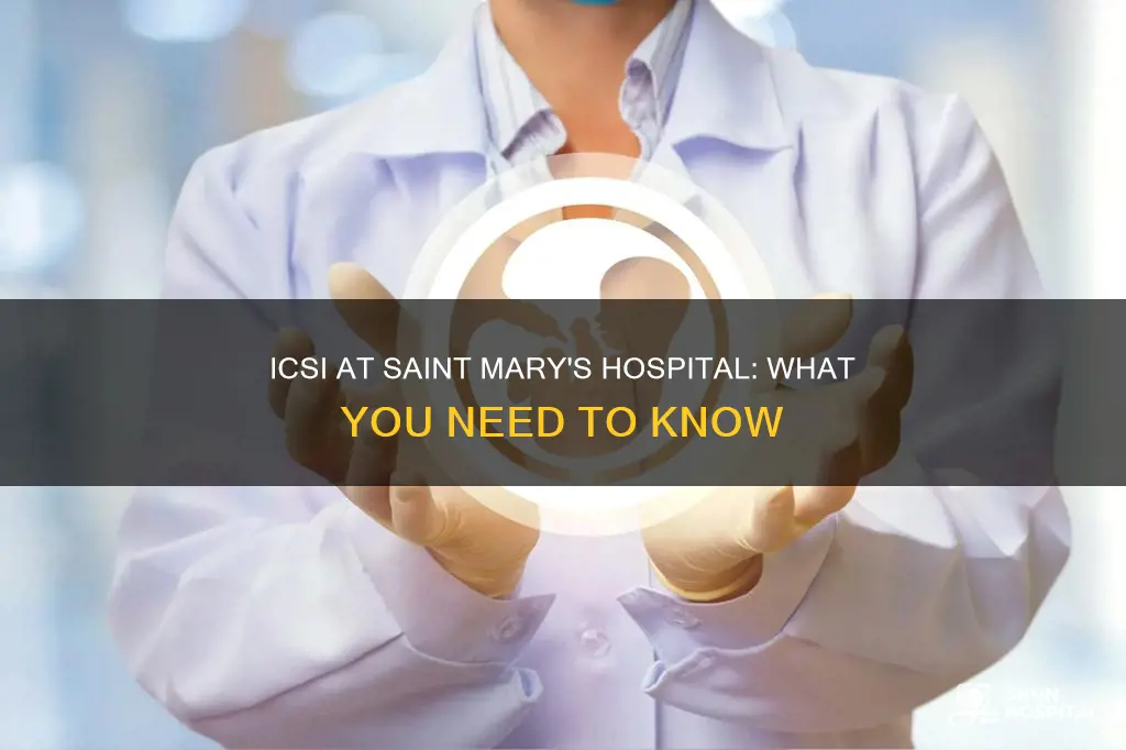 does saint mary