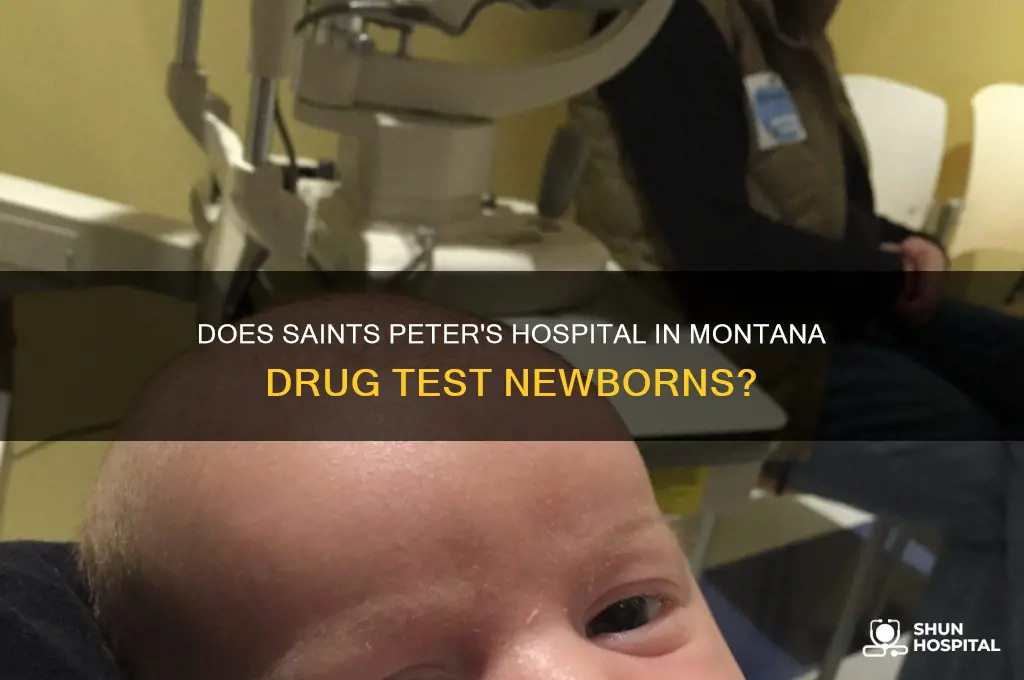 does saints peter