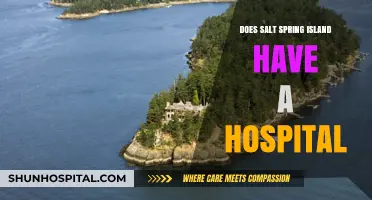 Salt Spring Island's Hospital: What's the Deal?