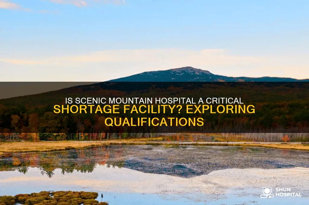 does scenic mountain hospital qualify as a critical shortage facility