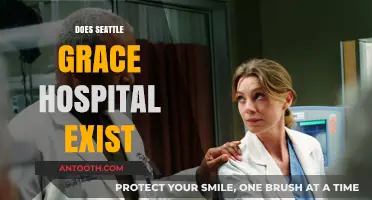 Does Seattle Grace Hospital Exist? Unraveling Grey's Anatomy's Iconic Setting