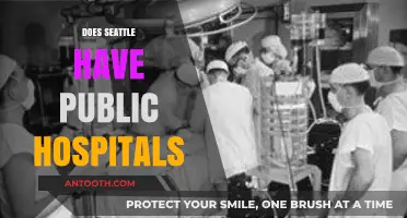 Exploring Seattle's Healthcare: Are There Public Hospitals in the City?