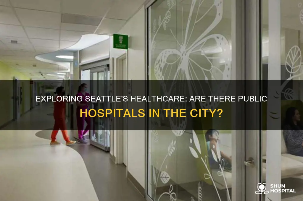 does seattle have public hospitals