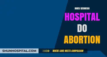 Seshego Hospital Abortion Services: Availability, Procedures, and Patient Information