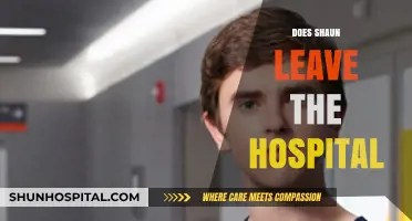 Does Shaun Leave the Hospital? Exploring His Future in The Good Doctor