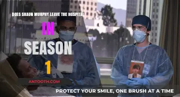 Shaun Murphy's Fate: Does He Leave the Hospital in Season 1?