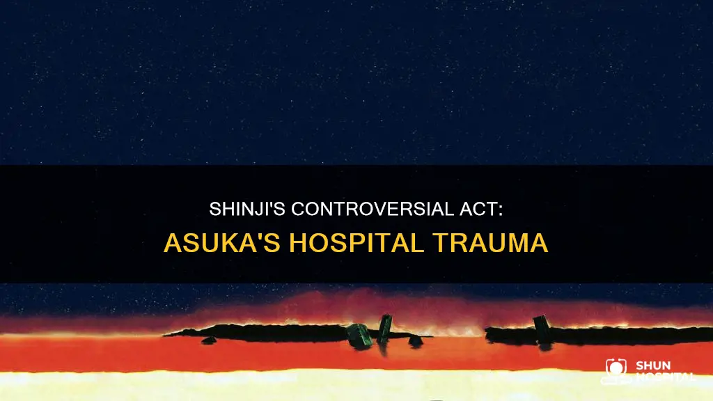 does shinji rape asuka in the hospital