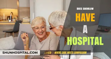 Show Low Hospital: Exploring Healthcare Options in the White Mountains