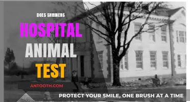 Shriners Hospital Animal Testing: Facts, Policies, and Ethical Considerations