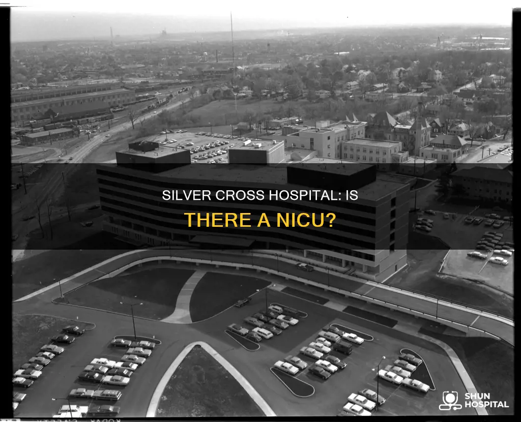 does silver cross hospital have a nicu