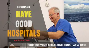 Exploring Slovakia's Healthcare: Are Its Hospitals Truly World-Class?