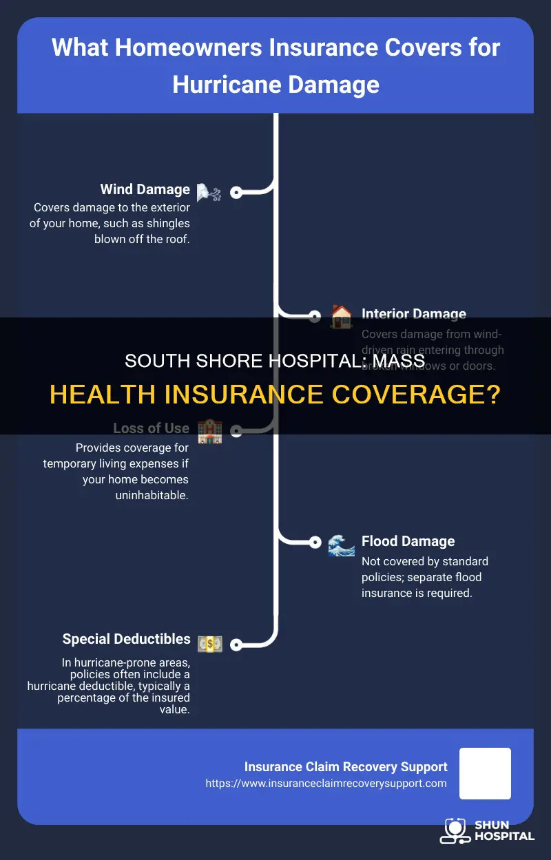 does south shore hospital accept mass health