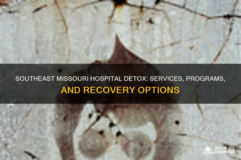 does southeast missouri hospital detox