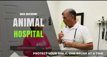Does Southport Animal Hospital Provide Quality Pet Care? A Review