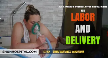 Sparrow Hospital's Labor Options: Nitrous Oxide Availability Explained