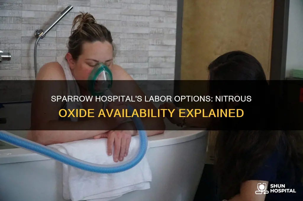 does sparrow hospital offer nitrous oxide for labor and delivery