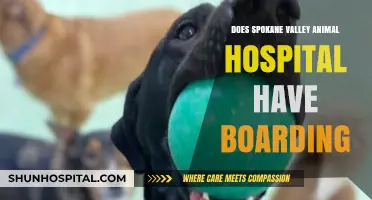 Spokane Valley Animal Hospital: Pet Boarding Services?