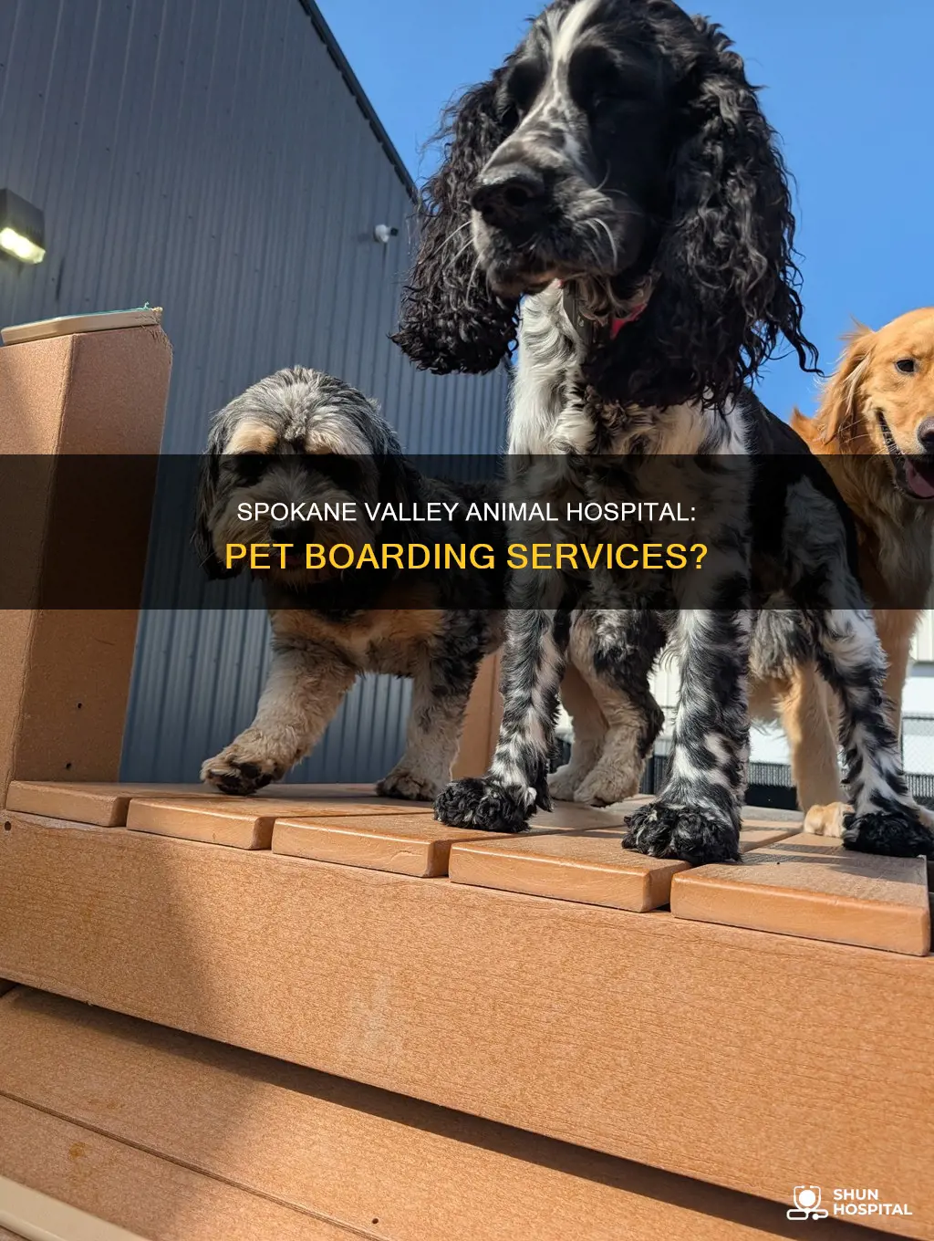 does spokane valley animal hospital have boarding