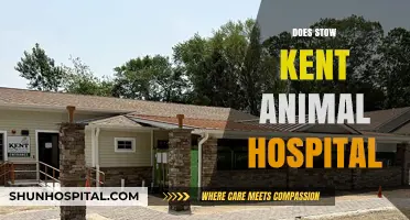 Stow Kent Animal Hospital: Services, Reviews, and Pet Care Insights