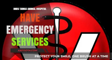 Tawas Animal Hospital: Emergency Services Available?