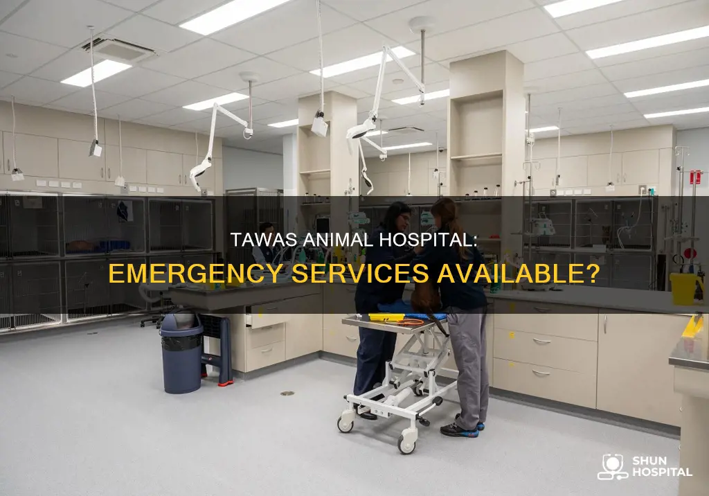 does tawas animal hospital have emergency services