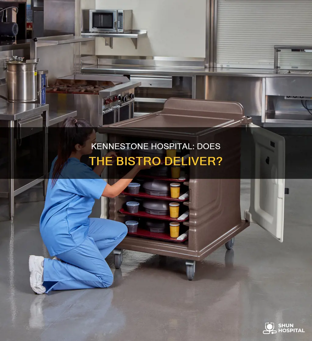 does the bistro at kennestone hospital delivery